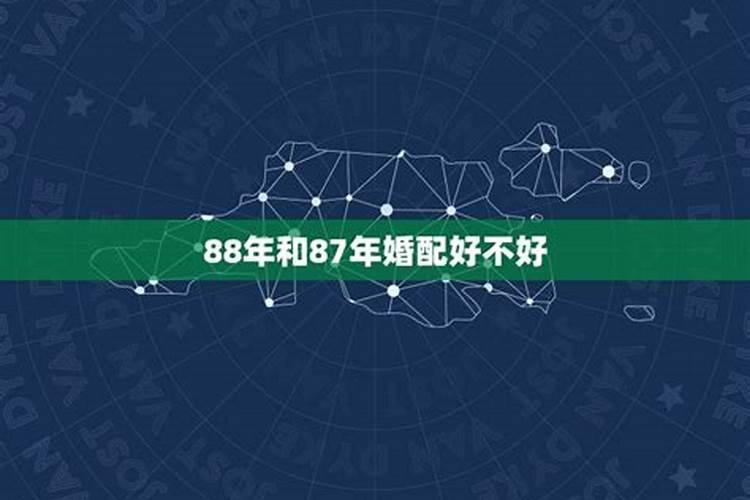 87年属兔配88年属龙的好不好