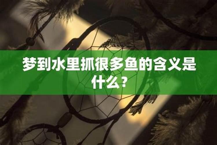 梦见水里好多鱼在游是什么意思