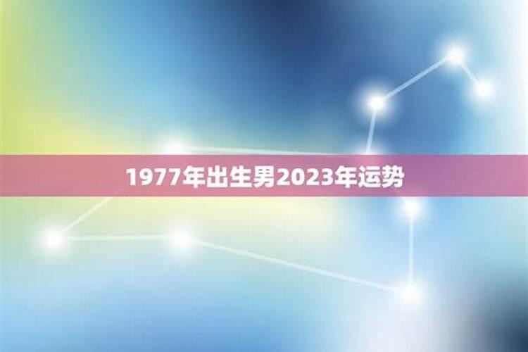 1977人一生运程如何