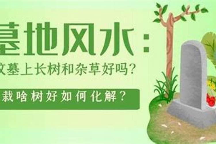 清明节能拔坟上的草吗