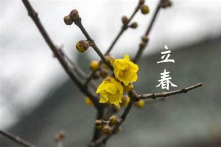 立春春节还有几天