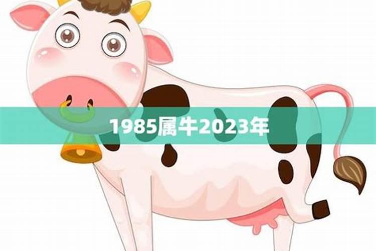 生肖牛2023年运势