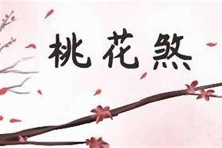 八字日柱桃花红鸾