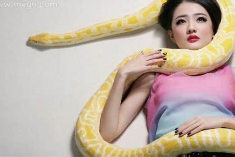 梦到蛇缠身什么征兆女性