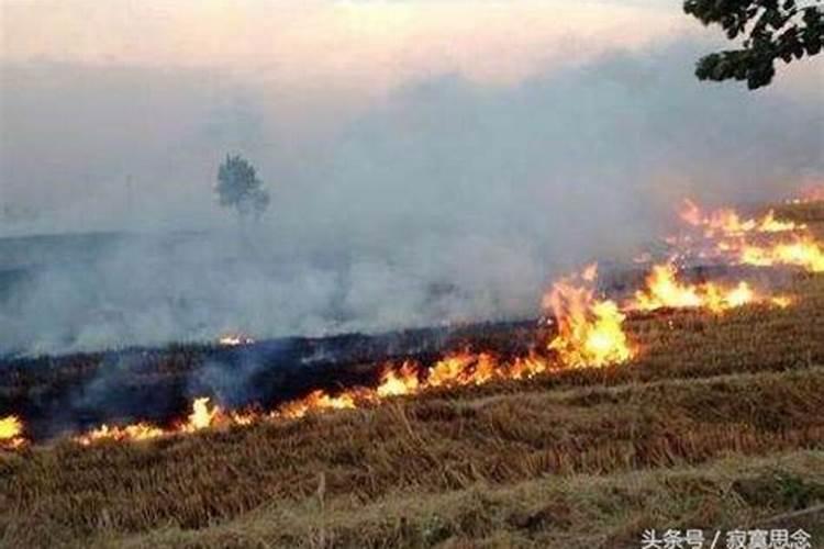 梦见坟墓着火了是什么征兆