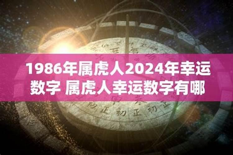 1986属虎幸运车牌号三位数