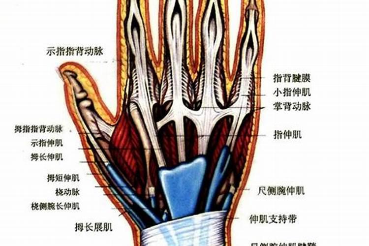 算命的能算出一个人谈恋爱吗知乎