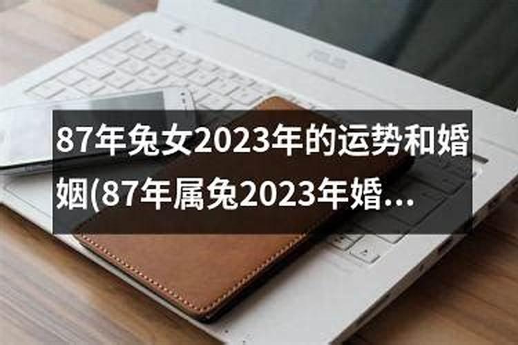 87年兔女2023年的运势和婚姻