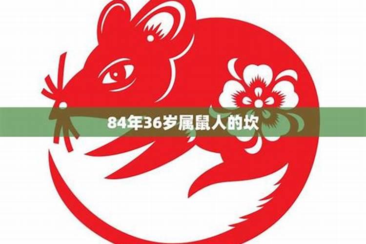 84年属鼠40岁能生下儿子吗