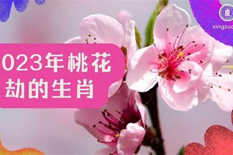 属鼠2023下半年烂桃花