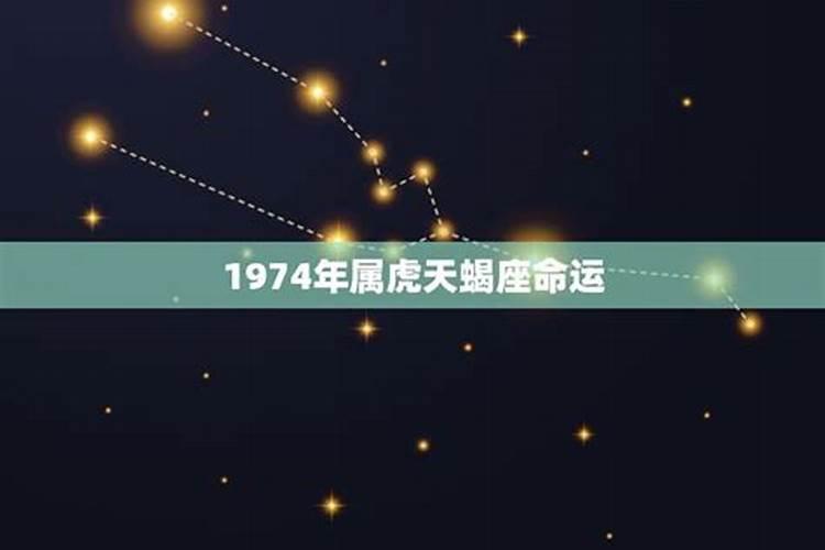 1974年天蝎座人有什么特点