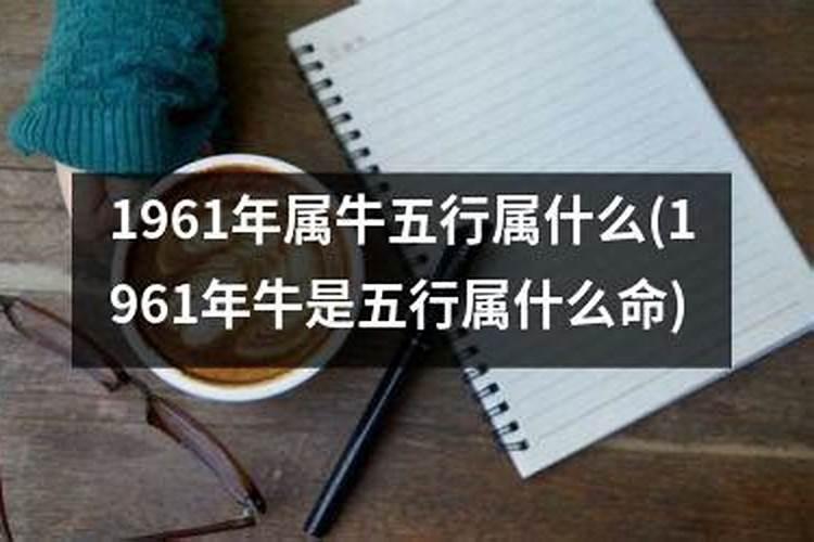 1961年牛五行属什么命