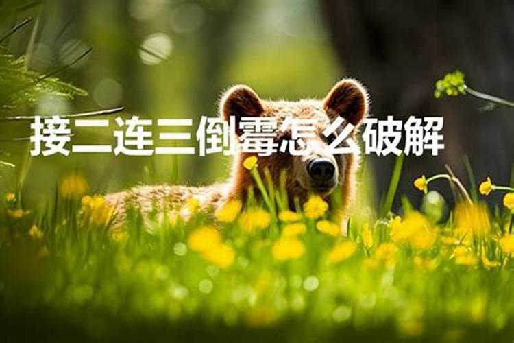 属虎2022犯什么太岁好运气