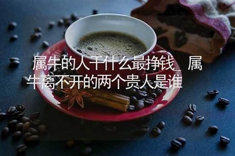 生肖牛强大赚钱的能力