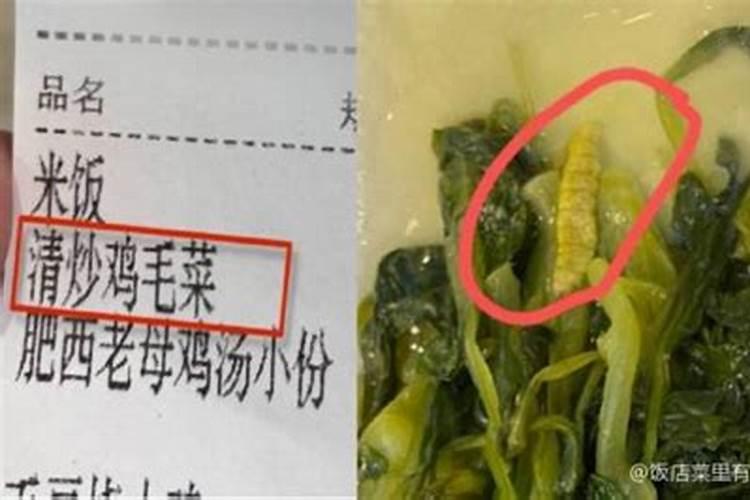 梦见吃饭时菜里有虫子