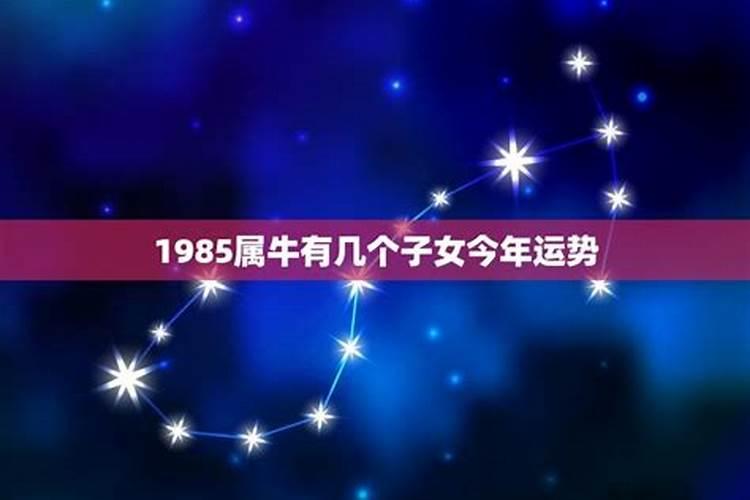 1985属牛有几个子女今年运势