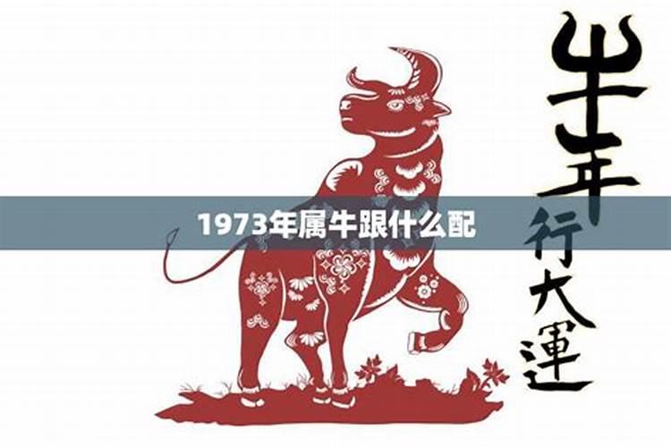 1973属牛的摆放什么招财