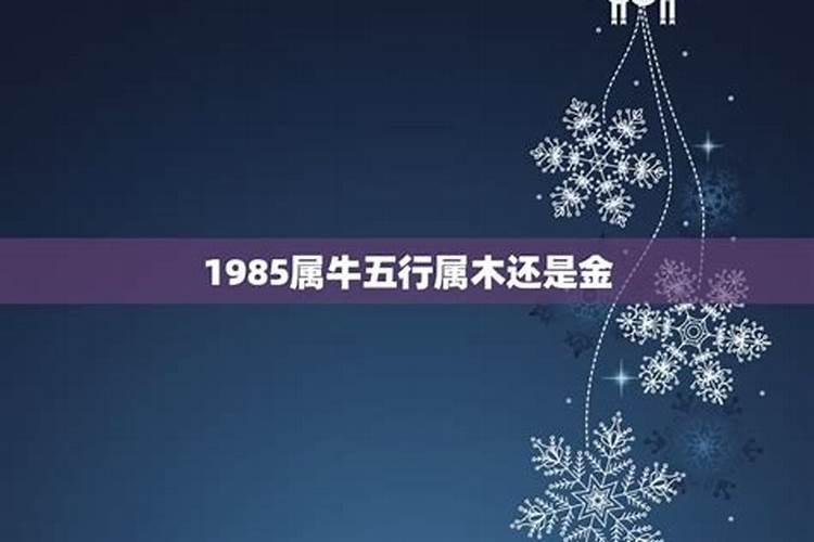 1985牛五行属什么命格