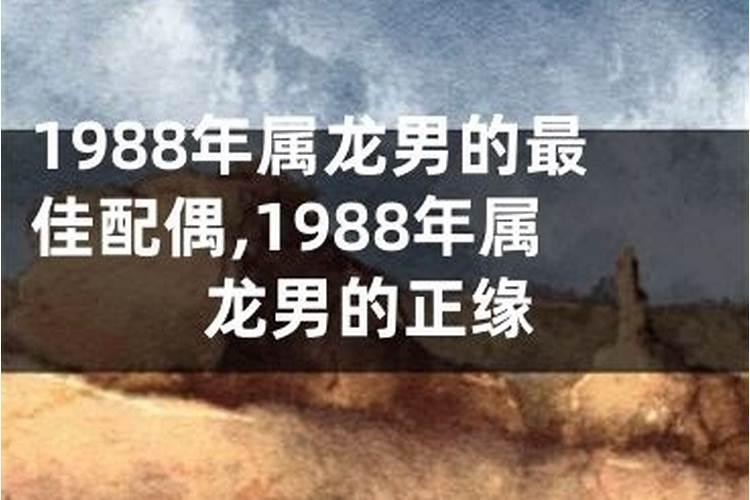 1988年属龙的正缘是谁