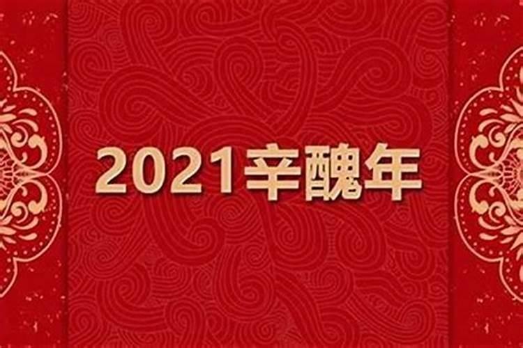 属马2024年全年运势怎么样