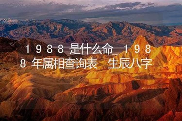 1988年属相是什么生肖什么命