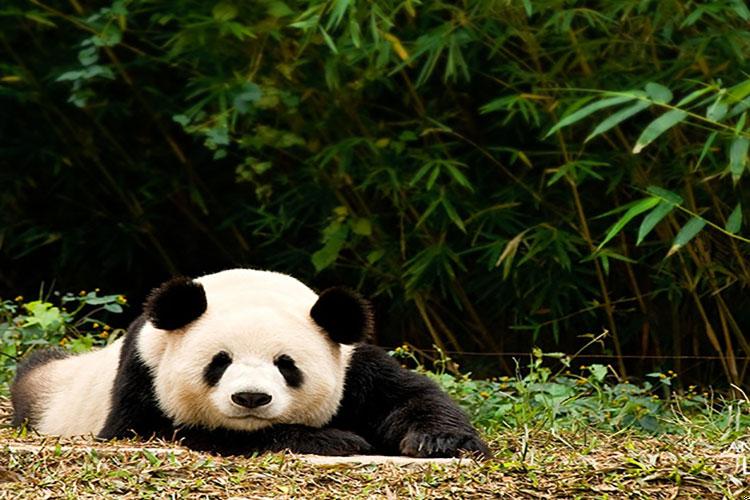 资阳测风水价格