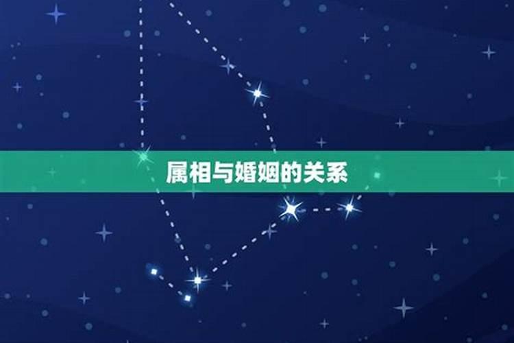 1999年属兔本月运势运程