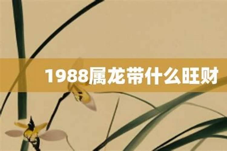 1988属龙人佩戴什么旺自己