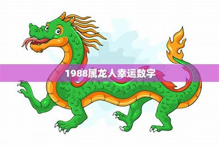 1988属龙的旺财数字2023