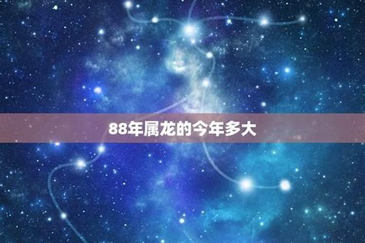 梦到男明星喜欢自己预示什么意思