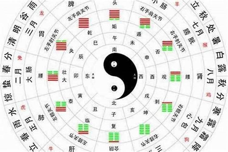 时支藏官星算婚姻吗