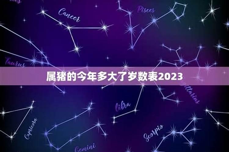 属猪的人2023年多大年龄