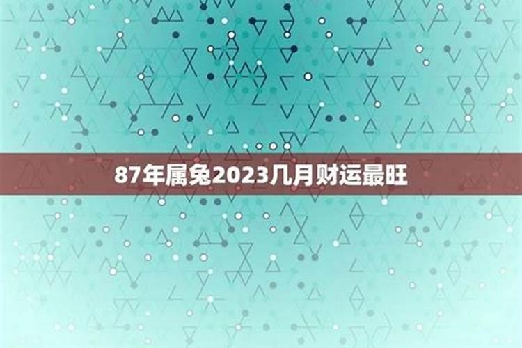 87年属兔2021年桃花运旺的月份