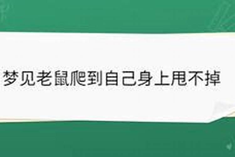 男人梦见老鼠爬到自己身上