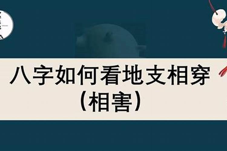 八字相穿有哪些