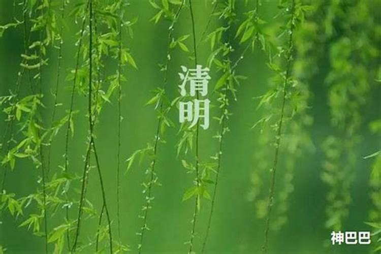 清明节宜忌讳