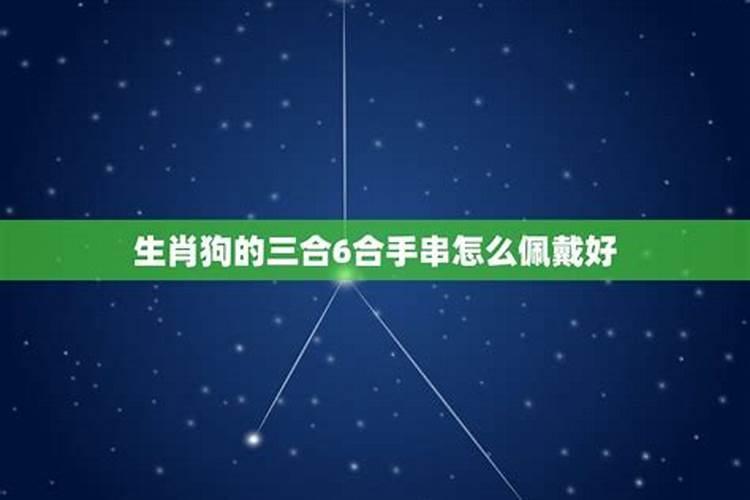 生肖狗的三合6合