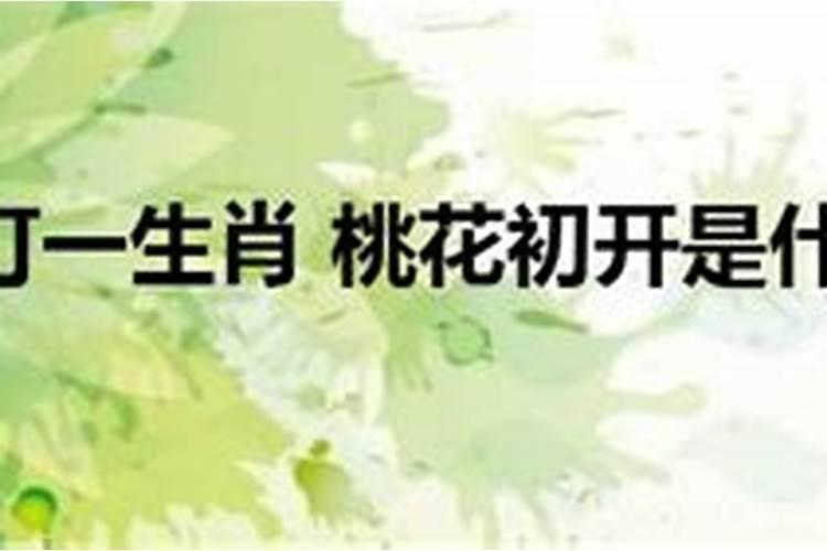 桃花出过什么生肖