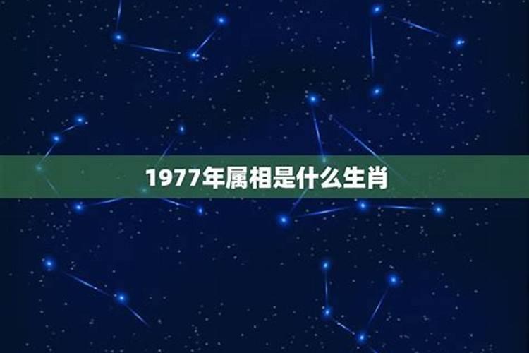 77年属相是什么命