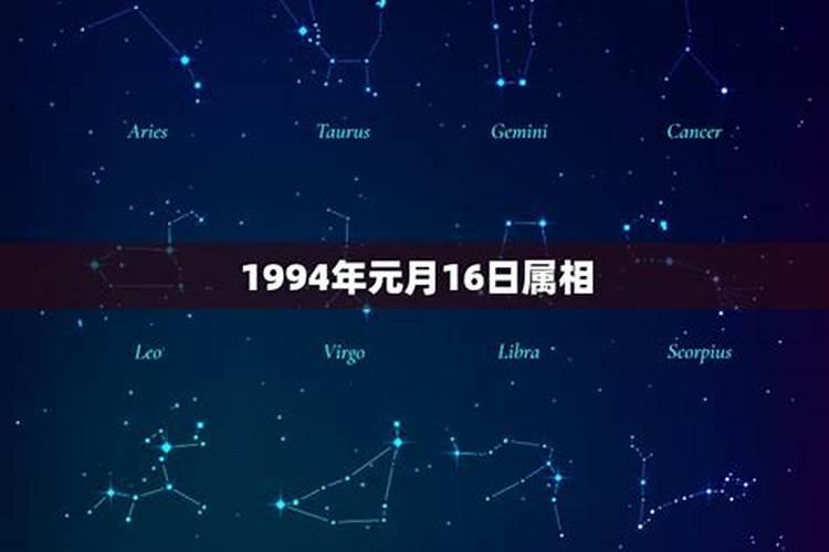 94年元月属什么