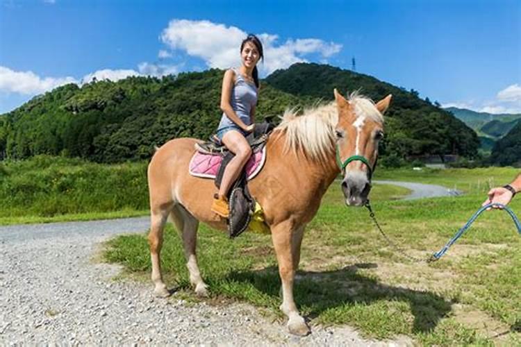 梦里梦见自己和妻子骑一匹马