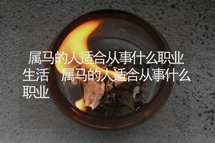 属马的人适合从事什么行业