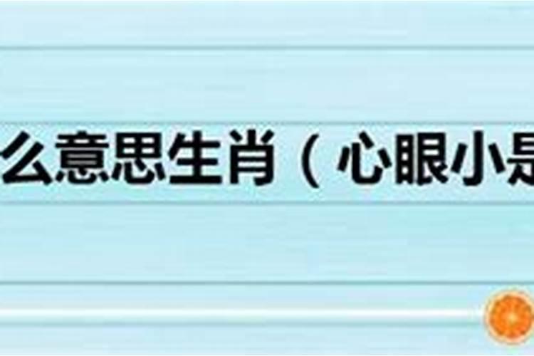 以貌取人小人心油腔滑调没正经打一生肖