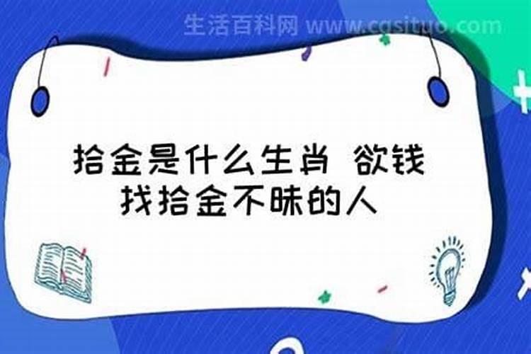 鸡狗八字不合怎么办