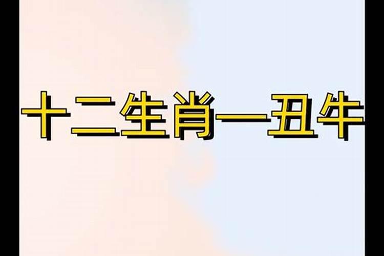 97年属牛男一生婚姻