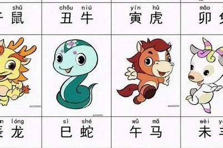 韦帅的生辰八字是什么