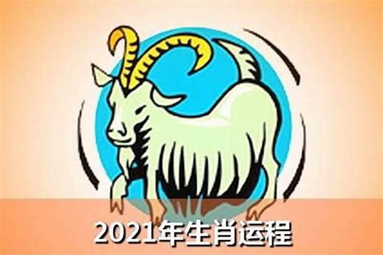 属羊的进入2022年全年运势及运程