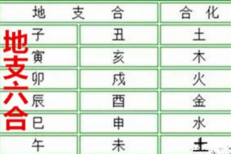 八字巳酉暗合