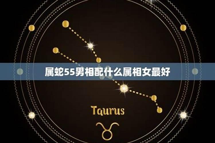 星座匹配什么星座的人