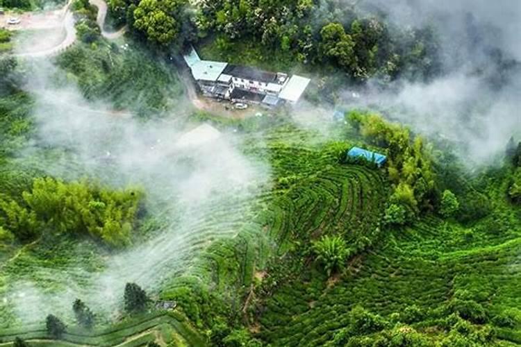 梅州市风水格局